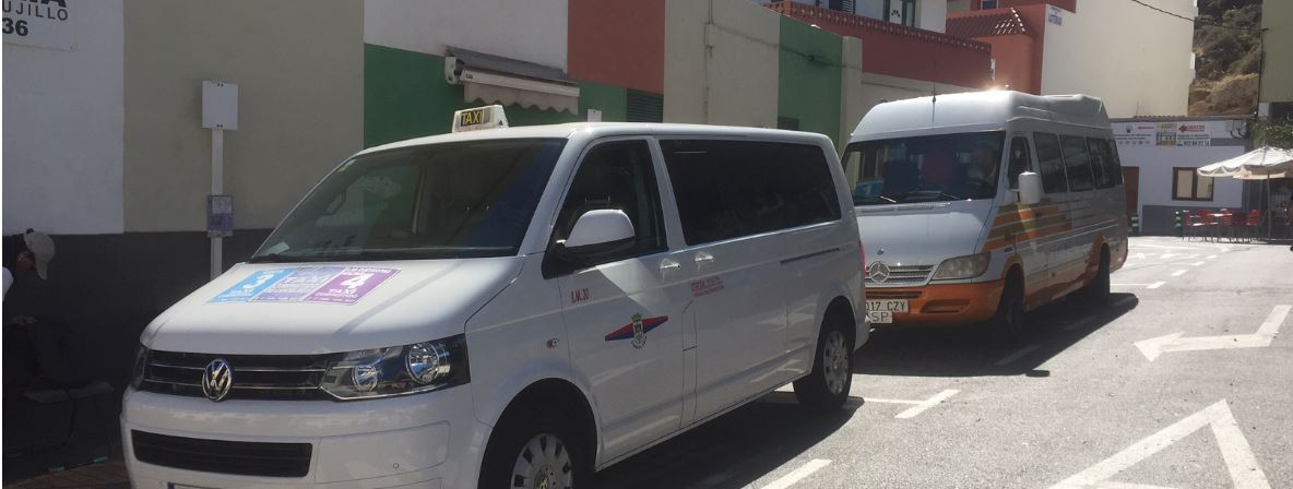 Transporte a la demanda