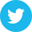 Icono Twitter