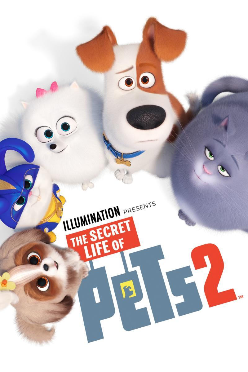 mascotas 2